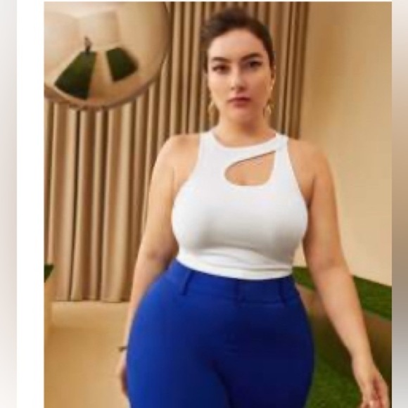 Cut out tank - Picture 2 of 3